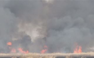 Около Петропавловска потушили крупный степной пожар