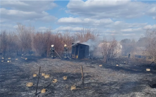 В Павлодаре в результате пожара сгорели 106 дачных участков