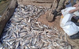 В ЗКО за незаконную рыбалку наказали 45 человек