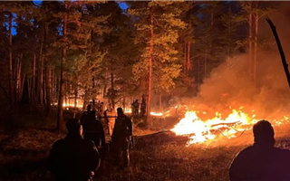 Вертолет и поезд привлекли тушить лесной пожар в Абайской области
