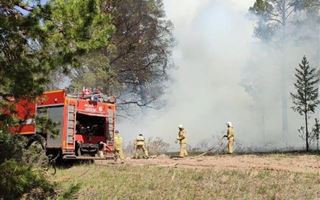 В Абайской области из-за лесного пожара объявлен режим ЧС