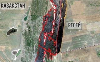 Появились кадры крупного лесного пожара в Абайской области