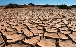 В июне в трех регионах РК прогнозируется засуха