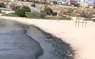 Вода почернела в Каспии возле Актау