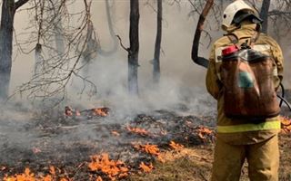 В тушении пожара в области Абай задействовано более 300 человек и 70 единиц техники - МЧС РК