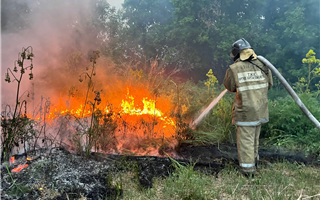 В МЧС заявили, что ситуация с лесными пожарами в Абайской области стабилизируется