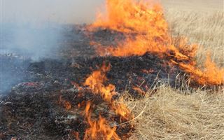  В Жамбылской области на площади восьми гектаров произошел степной пожар