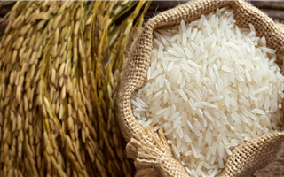 Компании по производству и реализации риса привлекли к ответственности на 67,9 млн тенге в Кызылординской области