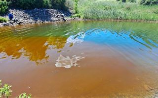 Жители ВКО обеспокоены необычным цветом воды в Иртыше