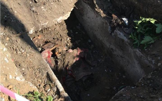 В Костанае во время замены труб нашли скелеты неизвестных людей