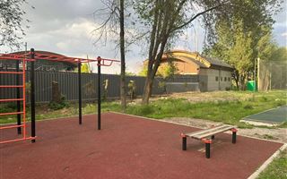 Уголовное дело о вырубке деревьев на территории школы возбудили в Алматы
