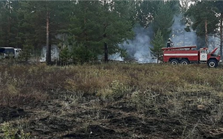 Сотрудники лесхоза вновь тушат пожар в лесничестве «Ертыс-Орманы»