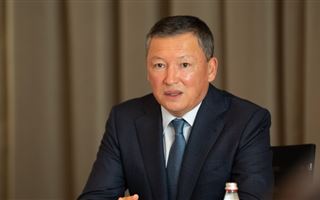 Тимур Кулибаев единогласно переизбран вице-президентом ОСА