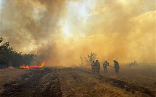 Лесной пожар, в котором погибли 14 лесников, наконец ликвидирован в области Абай