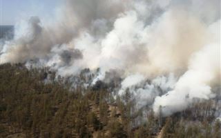 Пожар тушат в Коргалжынском заповеднике