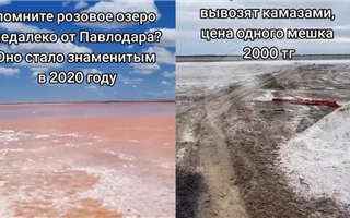 Чиновники прокомментировали высыхание розового озера в Павлодарской области