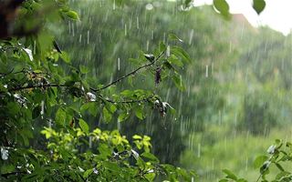 29 июля на большей части РК пройдут дожди с грозами
