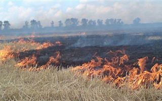 В Улытауской области потушили крупный степной пожар