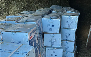 Особо крупную кражу гербицидов на 34 млн тенге раскрыли полицейские на севере Казахстана
