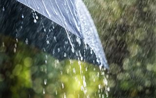 14 августа в некоторых регионах РК ожидаются дожди
