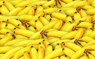 В Туркестанской области начнут выращивать бананы