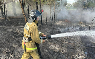 Пожар в Наурзумском заповеднике потушили на двух участках