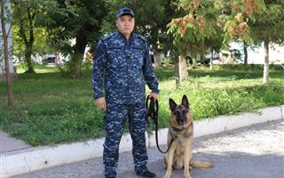 "Убил брата за нравоучения" - полицейская собака раскрыла преступление в Шымкенте
