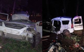 Люди пострадали при опрокидывании авто в Жетысуской области