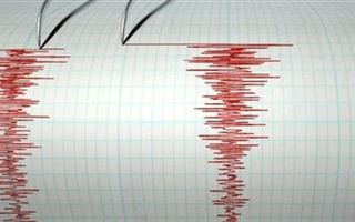 Землетрясение зафиксировали в 426 км от Алматы