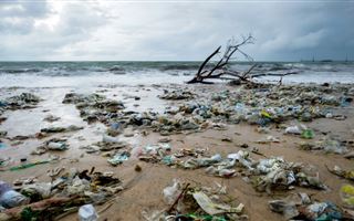 От мусора и брошенных рыболовных сетей очистят дно Каспия