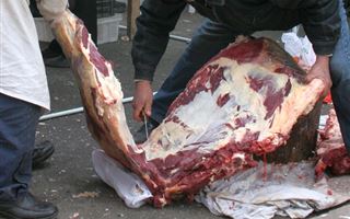 В Минсельхозе РК прокомментировали информацию о продаже мяса, зараженного сибирской язвой 