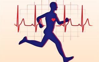 Инфаркт миокарда и спорт: специалист рассказал, каких упражнений следует избегать