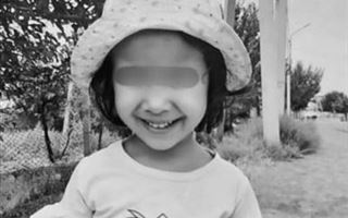 К пожизненному заключению приговорили мужчину, убившего пятилетнюю девочку в Туркестанской области