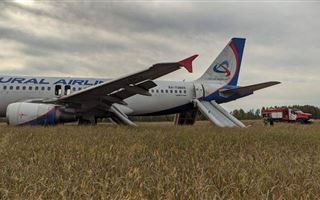 В Новосибирской области самолет "Уральских авиалиний" совершил экстренную посадку в поле, на борту были казахстанцы