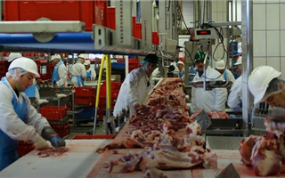 Казахстанцы сравнили цены на мясо в разных регионах 