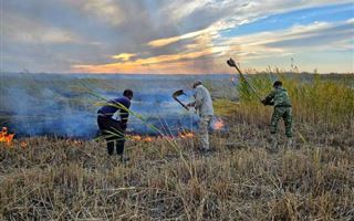 Шестьсот гектаров горящей степи потушили пожарные, лесники и жители крохотного аула Каратерен в Приаралье
