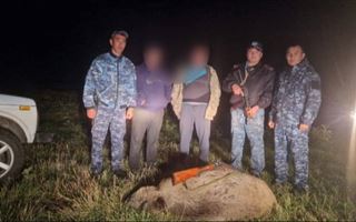 В Костанайской области полицейские выявили факт браконьерства 