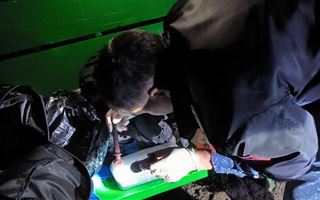 В Костанайской области задержали закладчика с килограммом гашиша