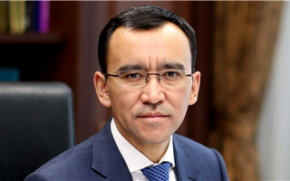 Депутатов маслихатов с двойным гражданством выявили в Казахстане