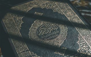 В Швеции вынесли первый приговор за экстремизм из-за сожжения Корана