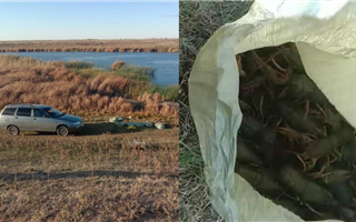 В Западном Казахстане двое браконьеров незаконно выловили 80 килограммов раков