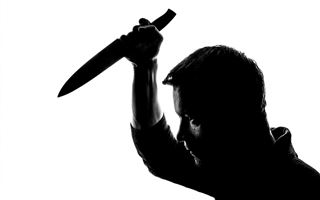 Во Франции мужчина с ножом напал на школу