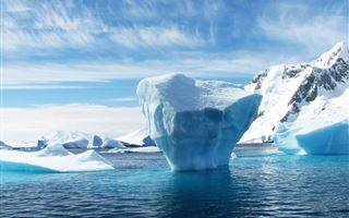 Антарктида потеряла 7,5 трлн тонн льда за последние 25 лет