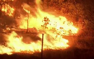 В Австралии вспыхнули лесные пожары