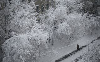 В Казахстане ожидаются 33-градусные морозы
