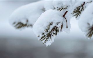 Шестого декабря в Казахстане ожидается снег, метель и гололед