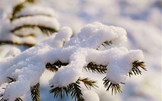 В Казахстане прогнозируют 42-градусные морозы