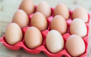Казахстан не будет поставлять яйца в Россию