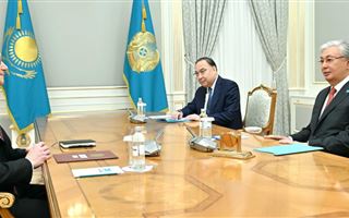 Глава государства принял посла США в Казахстане Дэниела Розенблюма