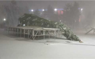 В Лисаковске из-за бурана упала новогодняя елка